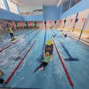 키즈태권도&파워줄넘기클럽 | 태권도 1곳에서 8가지 스포츠를 배울 수 있다면?