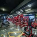 [해머스트렝스오피셜/수업료60%선지급/개인사업자 가능] 지엘핏 가능점에서 프리랜서 트레이너 구합니다. 이미지