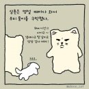 강아지삼촌 이미지