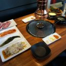 돌리고 제주도야지 이미지