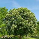 열매약국 이미지