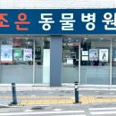 조은동물병원 이미지