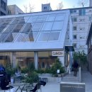 🏙️ 성수동 감성카페 추천, 카페씨떼(Café Cité) 방문 후기