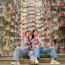 신흥무지개아파트 정문 | 홍콩 자유여행 아파트 포토존 모음 초이홍 무지개아파트 익청빌딩