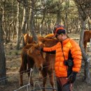 우도랜드 이미지