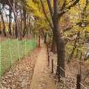 경기둘레길 김포57코스 이미지