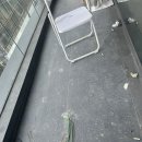 싹싹한클린 이미지