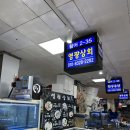 영광상회 | 노량진 수산시장 맛집 내돈내산 영광상회 대방어회 가격과 후기