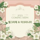 연희글로벌