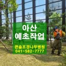 큰솔조경나무병원