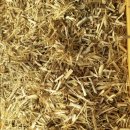 청송흑염소농장 이미지