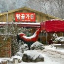 명품펜션갤러리 | 3퍼트가 기본이라고? 남춘천CC '악마의 그린' 공략법과 라운딩 후기 (ft. 탑골가든 닭갈비)