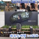 아시아제주노형호텔프리미엄 | 제주여행2일차 : 뉴스나왔어요, 제주시내맛집 ~ 올레시장맛집추천 제주여행코스