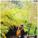 삼가리 | 초암사~돼지바위~국망봉~비로봉~달밭골~비로사~삼가리 주차장14.9k)산림청&amp;블랙야크100대명산25.5.11...