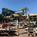 비앤비스넥 | [LasVegas숙박]무료 숙박 후기 및 셀프주차 정복 + 꿀팁 한가득, MGM GRAND