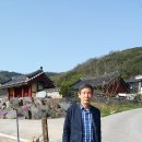 부여(임천)-15 이미지