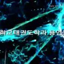 용인대백암정도태권도장
