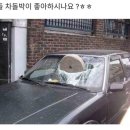 쌈싸먹는김치찌개
