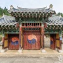 임삼로 티스토리