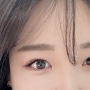 레레아속눈썹