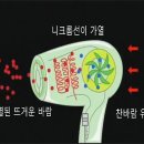 에어프라이어로 조리된 식품은 정말 건강할까? 이미지