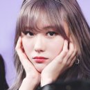 백하 Daum카페