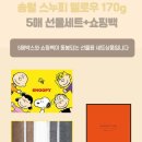 송월타월 호텔수건 코마 40수 30수 스누피 송월타올 내돈내산 스트라이프 뱀부 130g 170g 비교