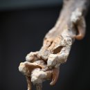 Sm Zone PC 이미지