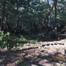 아라메길 (도비마루길) 이미지