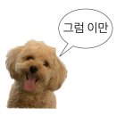 플레이스 엉물 [제주도 브런치] 구좌 애견 동반 가능 고즈넉한 감성 브런치 카페 <b>플레이스</b><b>엉물</b>