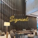 시그니엘호텔 부산점 | 부산 시그니엘 호텔, 라운지, 수영장, 조식 내돈내산 후기 부산 호텔 호캉스 추천