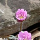 사람의커피