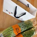 정지환 농장 네이버블로그