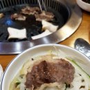 고박사생고기