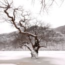 원각만물 이미지