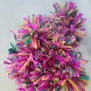 보자기 꽃이 피었습니다 이미지