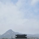 산책 | 서울 경복궁 산책 후기 - 근정전·경회루·향원정 봄꽃 상태 (주말 방문)