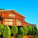 서산소나무힐링 이미지