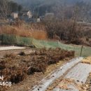 수원-이의-이의-06 이미지