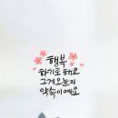 축제의땅 티스토리
