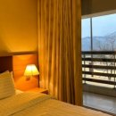 로카와 델피노1 이미지