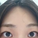 젠느 - 화천군 중앙로 15 | 인계동 속눈썹펌 : 젠느뷰티 블랙틴팅펌 후기👀