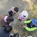 숲속둥지어린이집 | [익산 i와숲 어린이집 추천] 열매반 ‘새 관찰·새 둥지 만들기’ 숲체험 이야기 🕊️🌿