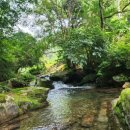 숲속의 하얀펜션 이미지