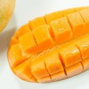 초록망고 이미지