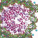 히스톤(HisTone) 네이버블로그