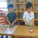 바른유치원 이미지