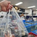 솔향 | 안목항횟집추천 견소동맛집 솔향 4인세트 솔직후기