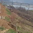 영춘배수펌프장 이미지