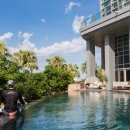 라스퀄 카카오 검색결과